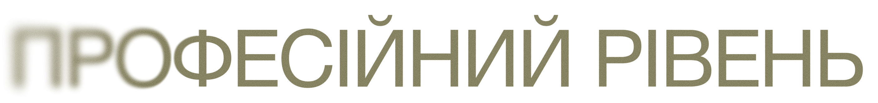 Професійний рівень
