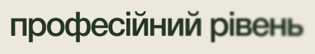 Професійний рівень